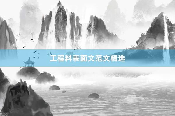 工程料表面文范文精选