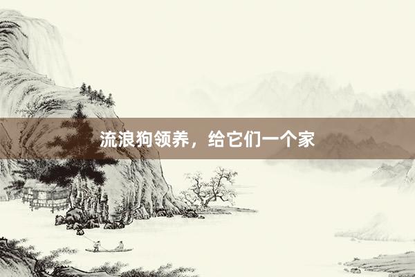 流浪狗领养，给它们一个家